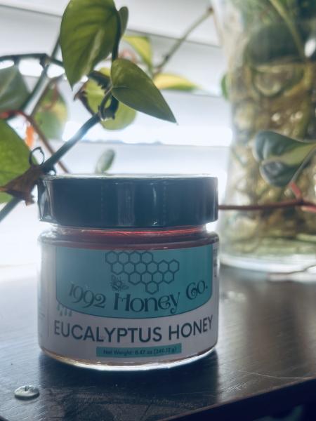 Eucalyptus picture