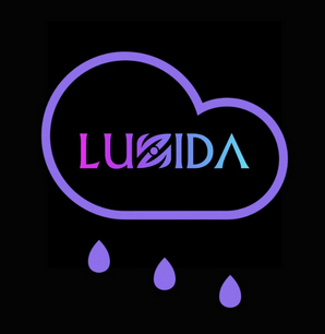 Luzida.Art