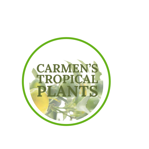 Carmen’s Tropical Plants