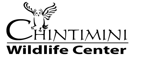 Chintimini Wildlife Center