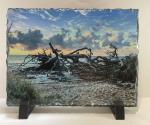 5 x 7 Slate Photo - Jekyll Island 2