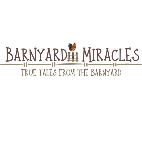 Barnyard Miracles