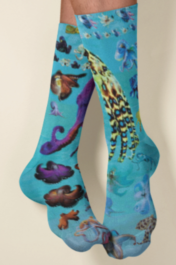 Under the Sea Long Socks picture