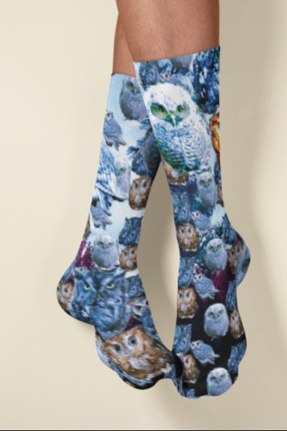 Owl Long Socks picture