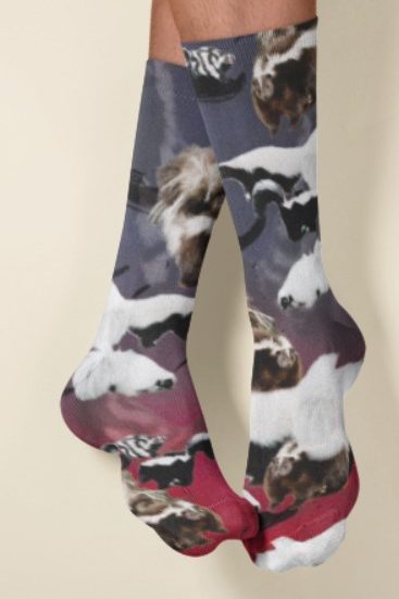 Animal Long Socks picture