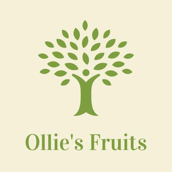 Ollie's Fruits