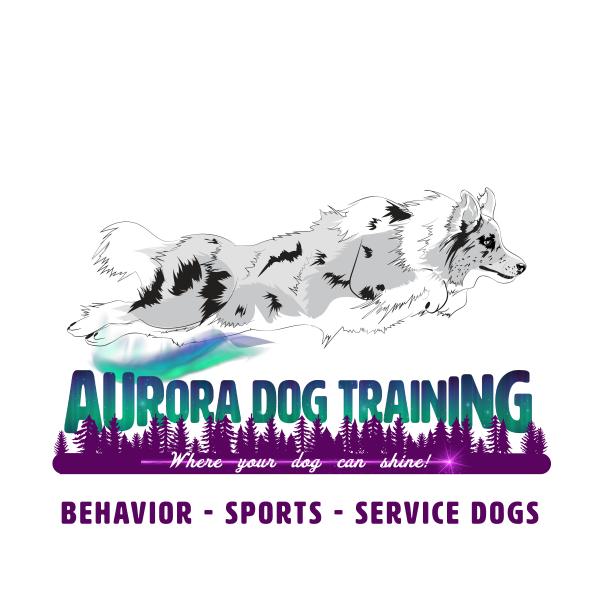 Aurora Dog Training