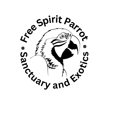 Free Spirit Parrot Sanctuary and Art of the Wood