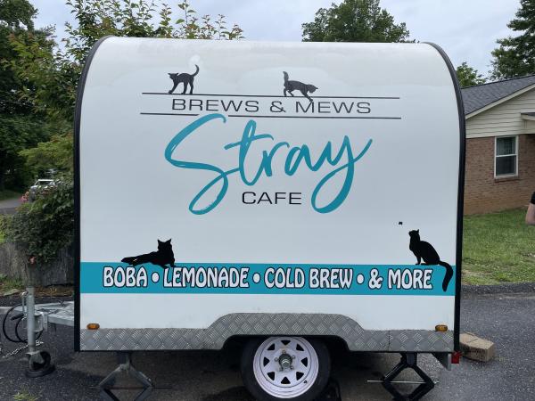 Brews and mews stray cafe