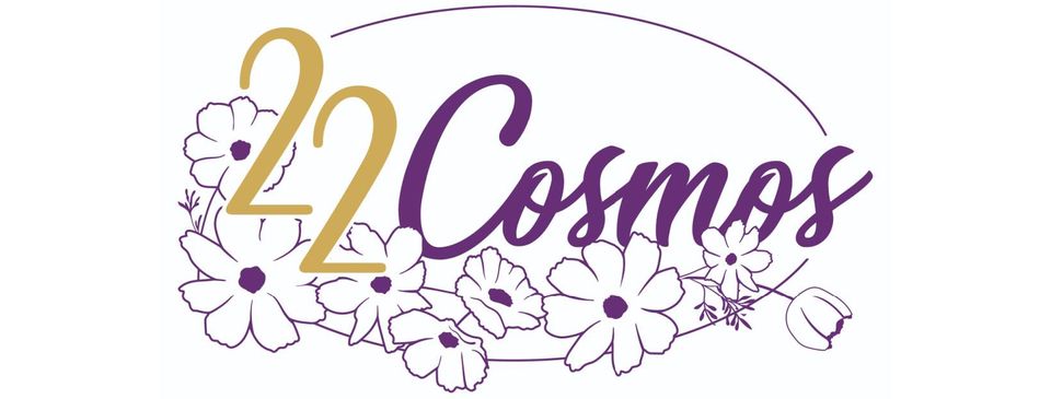 22 Cosmos