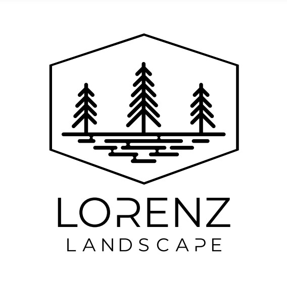 Lorenz Landscape