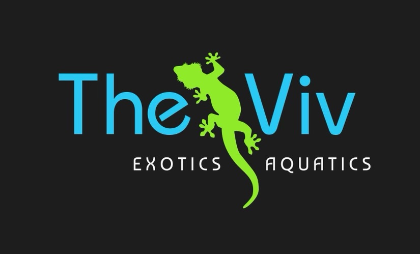 The Viv Bioactive