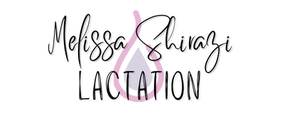 Melissa Shirazi Lactation