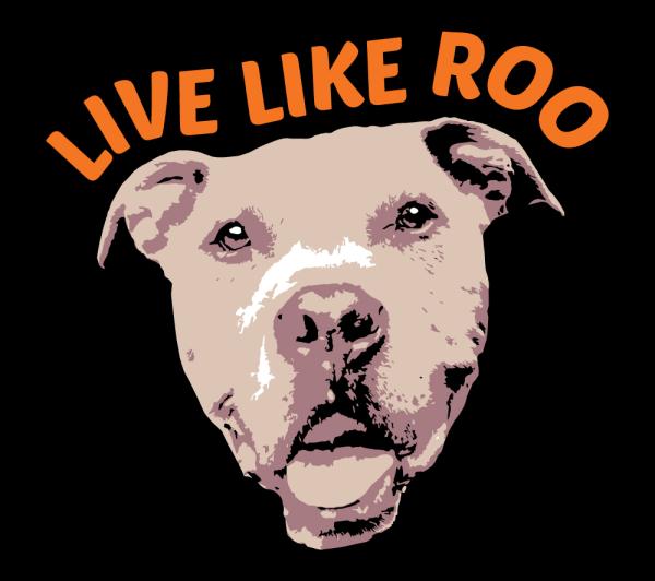 Live Like Roo Foundation