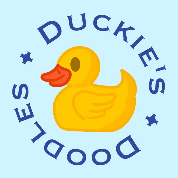 Duckie’s Doodles