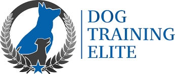 Dog Training Elite - Colorado Springs