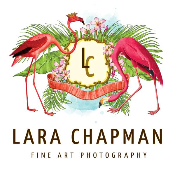 Lara C. Chapman