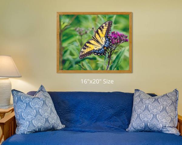 Surely Goodness and Mercy, Fine Art Photograph, Nature Photograph, Wildlife Photo, Spiritual Wall Art, Affirmation Wall Art, Matted Print picture