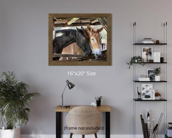 Horse Friendship, Fine Art Photograph, Farm House Décor, Horse Photograph, Rustic Photo Art, Draft Horse Wall Art picture