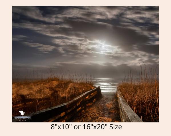 Moonlight on the Ocean Photographic Wall Art for Interior Design, Color Landscape Photograph, Wall Art for Home or Office picture