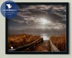 Moonlight on the Ocean Photographic Wall Art for Interior Design, Color Landscape Photograph, Wall Art for Home or Office