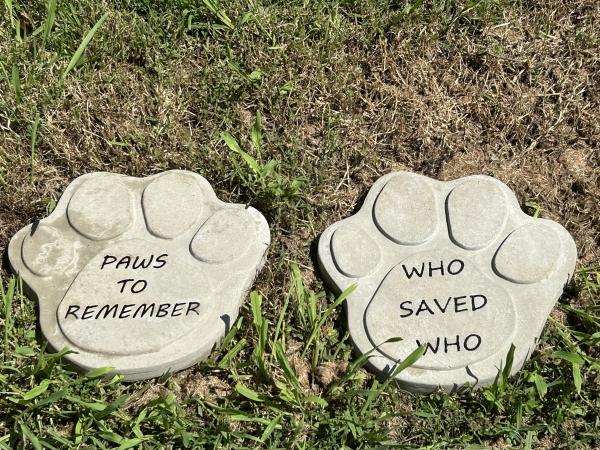 Paws to Remember