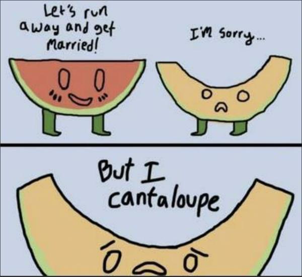 Can't Elope Cantaloupes