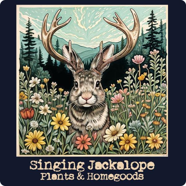 Singing Jackalope