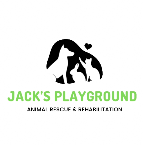 Jack’s Playground Animal Rescue