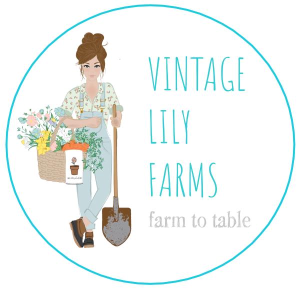 Vintage Lily Farms