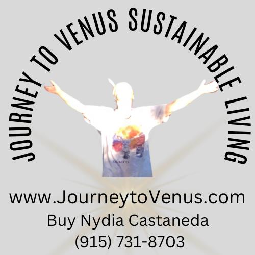 Journey to Venus