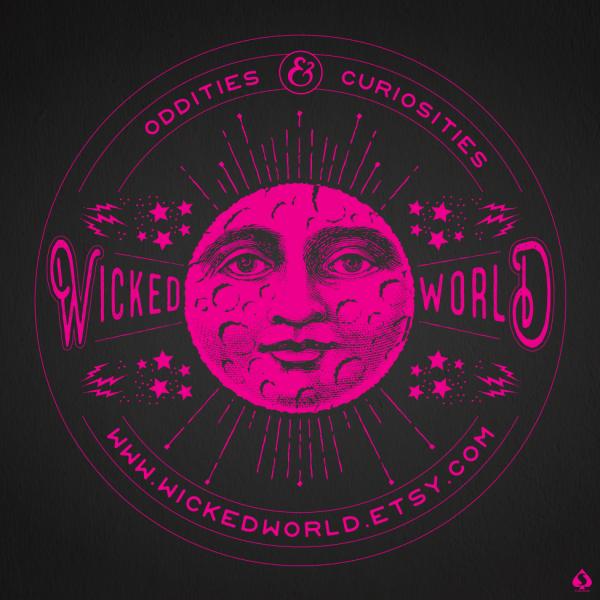 wicked world